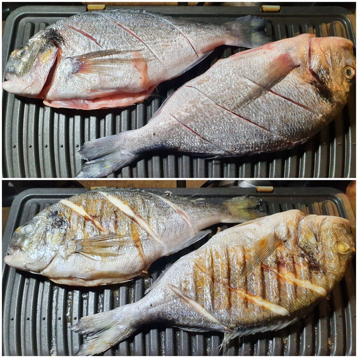 Дорада на домашнем гриле