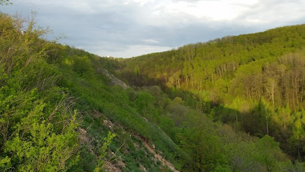 Коптева оврага. Коптевский водопад самара. Колотушкин овраг. Коптев овраг самара водопад. Коптева оврага.