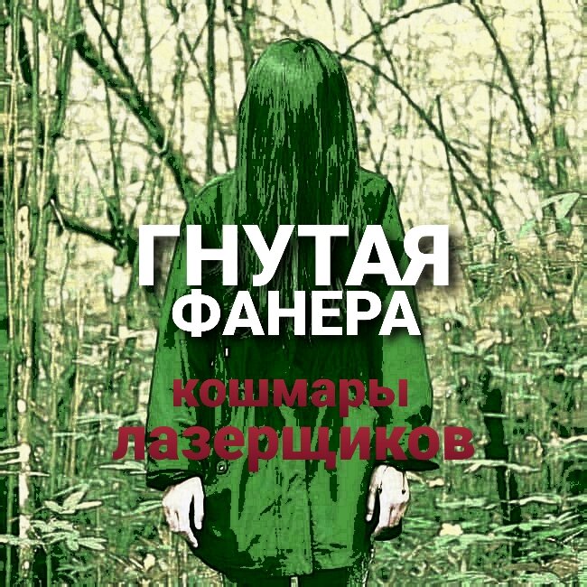 Источник основы фото pexels.com 