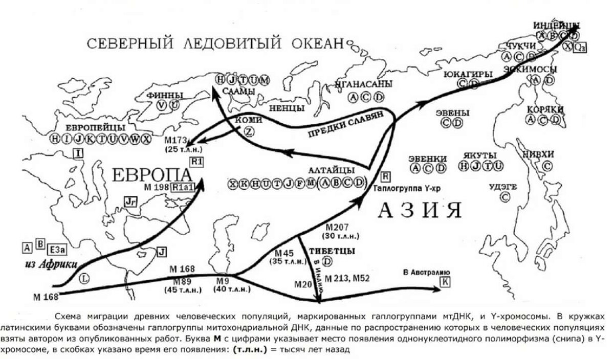 Миграция северного кавказа