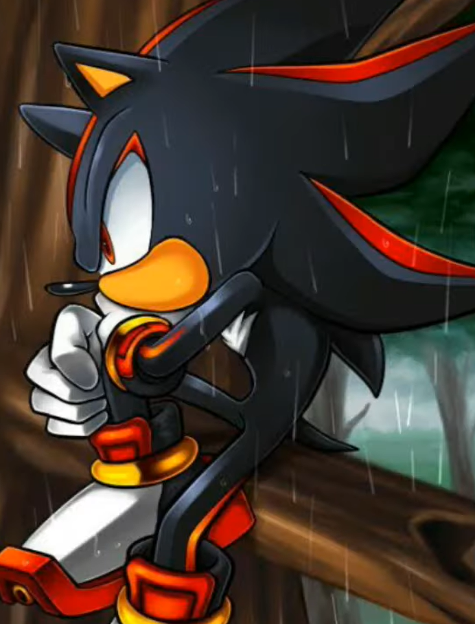 Shadow hedgehog sonic. Соник x Шедоу. Шедоу ёж Соник x. Еж Шедоу Sonic x. Хаус Шедоу ёж.