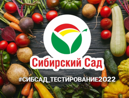 Участвую в тестировании  2022. Фото автора