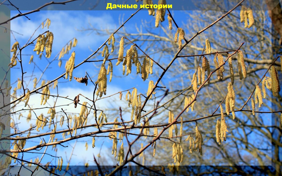 https://vk.com/photo-159774511_457251373