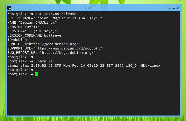 В качестве пакетной базы используется Debian 11 «Bullseye».Slax 11.2. База Debian 11. Ядро Linux 5.10
