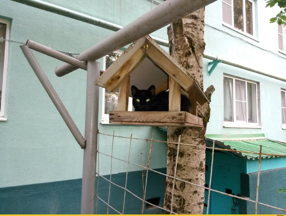 Фото из открытых источников