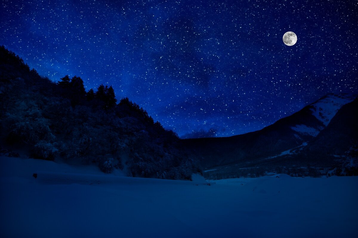 Фото: shutterstock.com