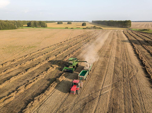 Источник: Яндекс.Картинки