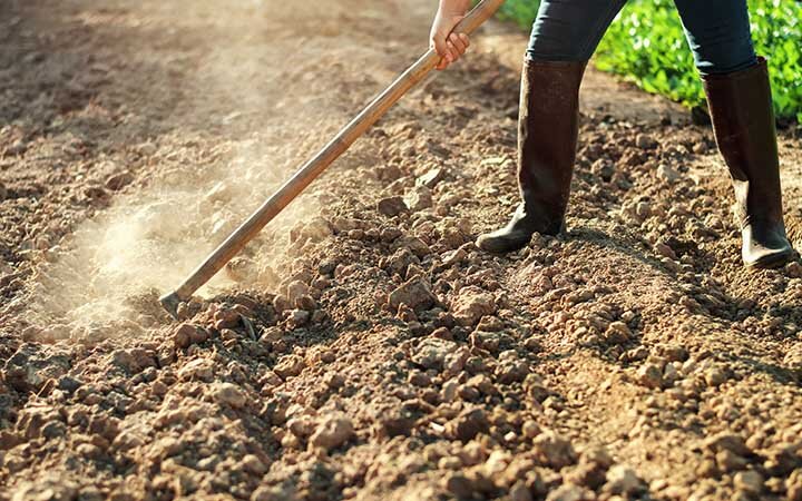 Нравится ли вам такая земля?