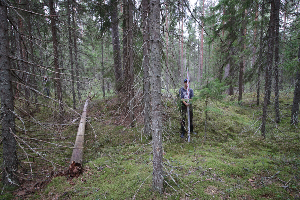Парни и курганы