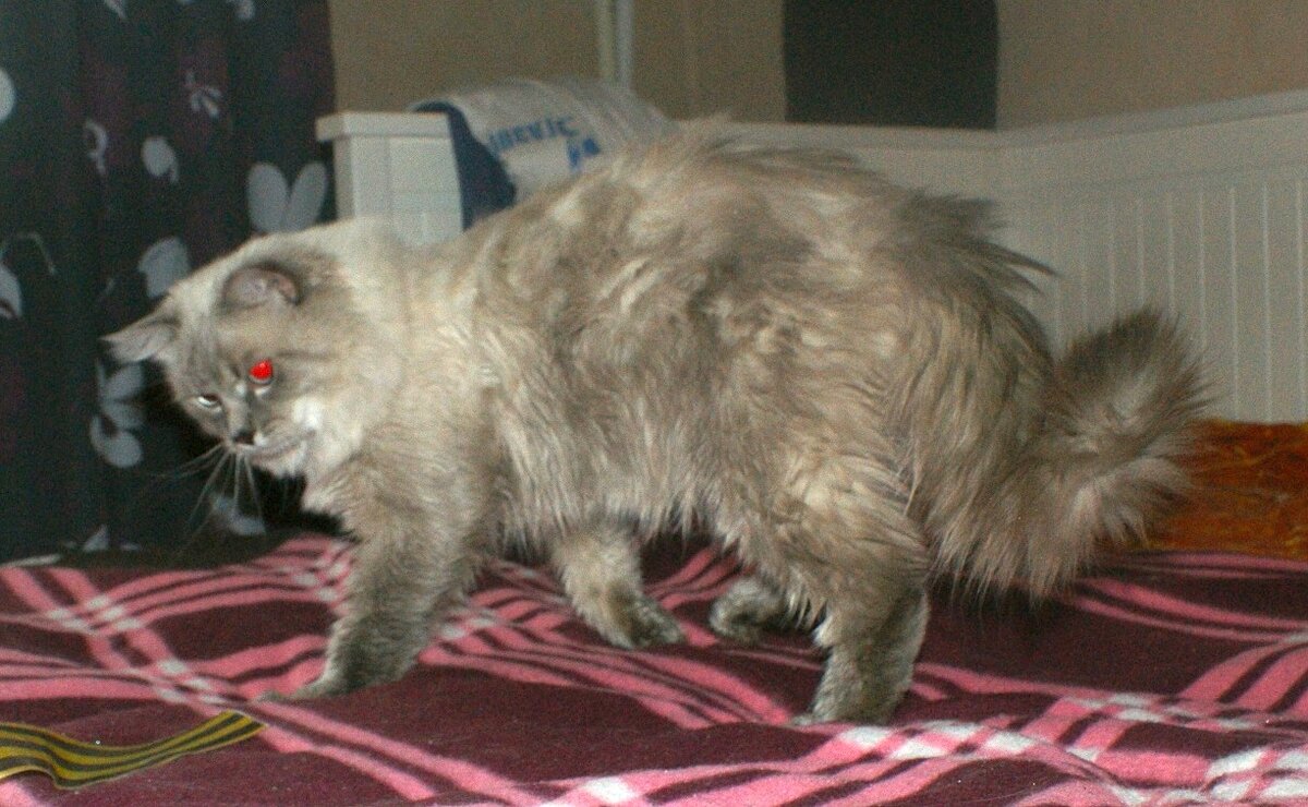 Только принесен