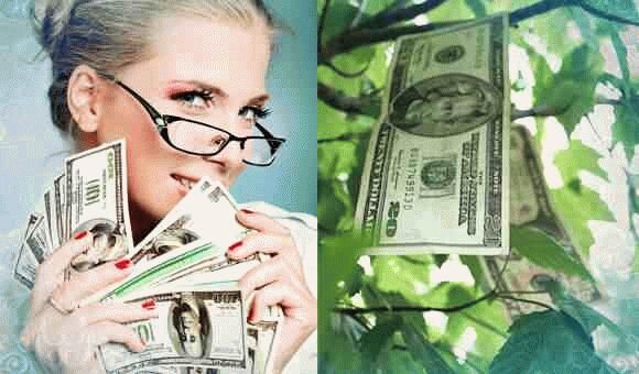 Кроме этого, листья цветка выделяют в воздух особое эфирное масло, которое обладает приятным запахом, очень похожим на мятный. На уровне подсознания это вещество начинает активизировать работу мозга, способствует более активной творческой работе.