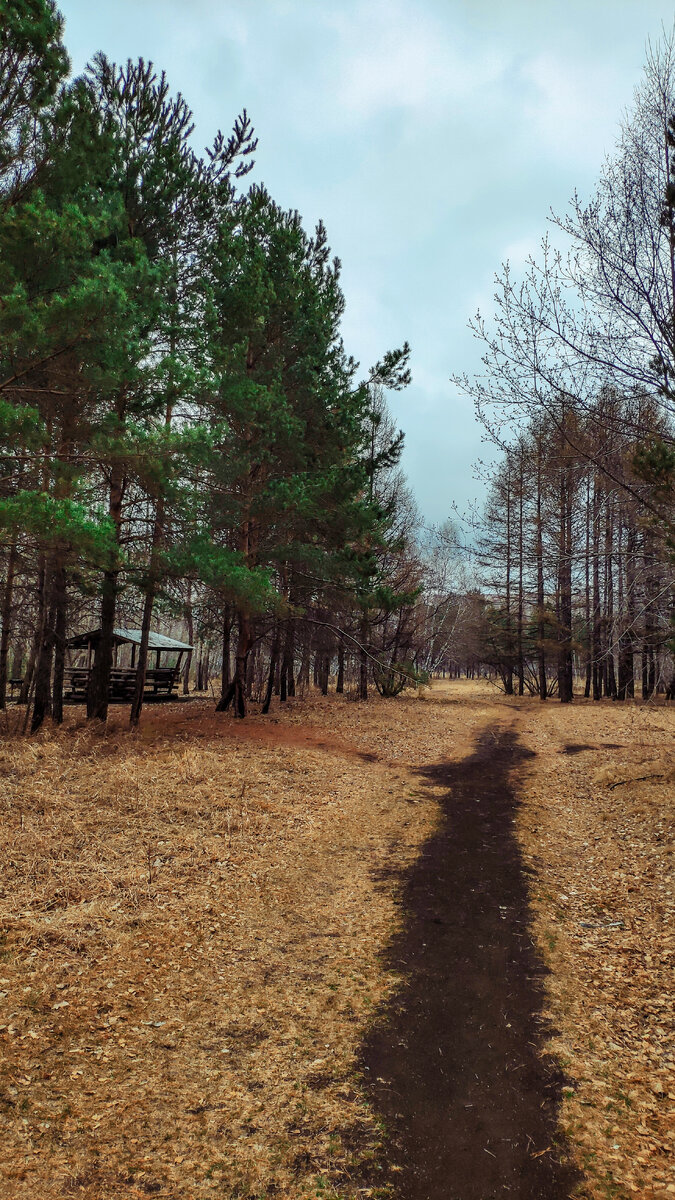 Мангальная зона