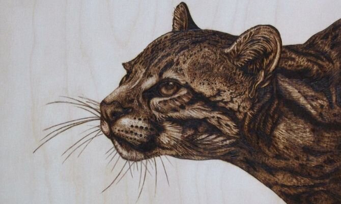 фото с сайта https://stalcu.ru