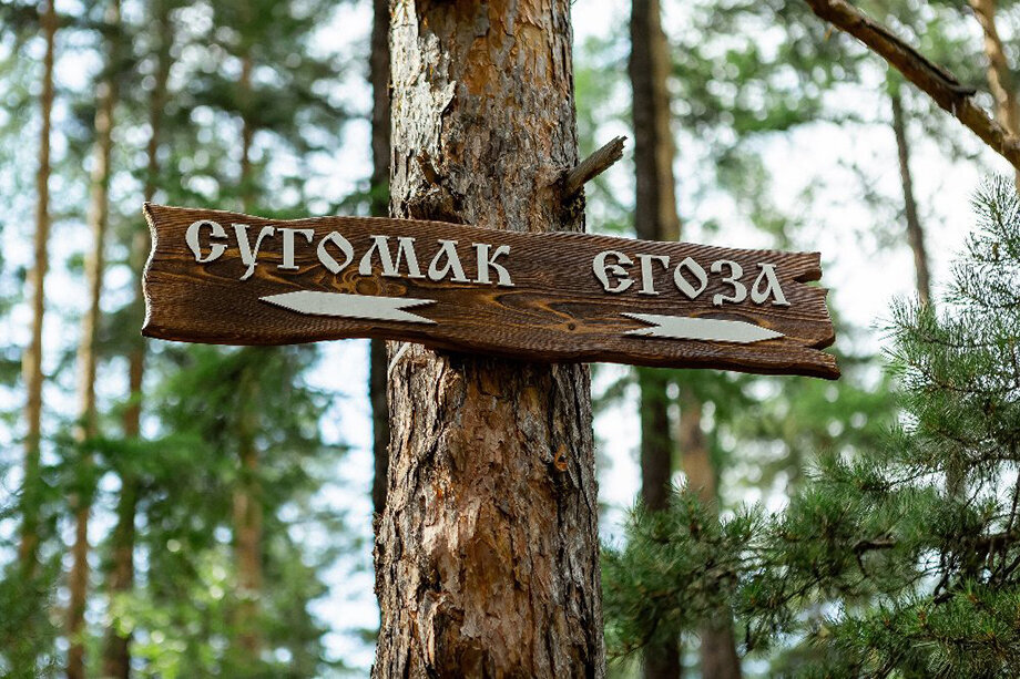 Фото: официальный сайт правительства Челябинской области/агентство международного сотрудничества Челябинской области