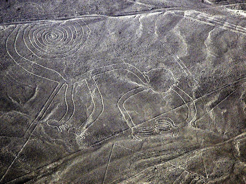 фото из открытого источника