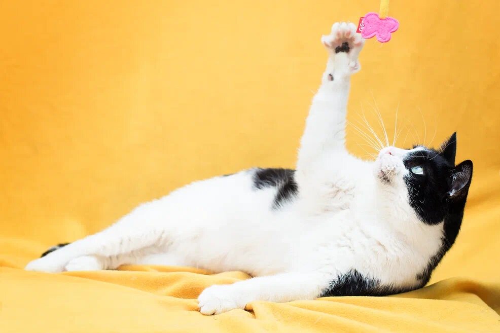 романтично засмотрелся на бабочку 