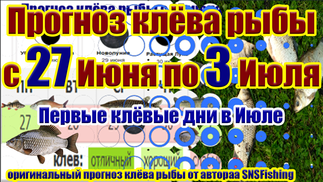 День рыболовства 27 июня картинки всемирный