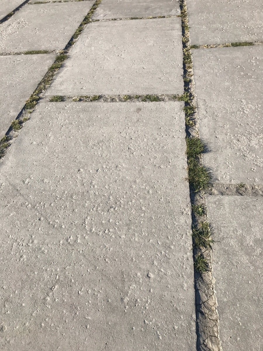 Дорога набережной в районе пляжа Суджукская коса