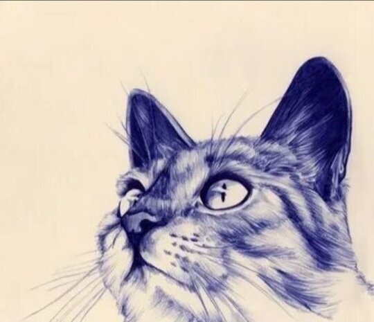 Реалистик превью!