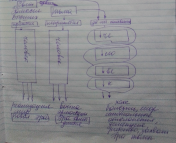 Книга откровений. Механизм сдвига и принятия ведения Высших
