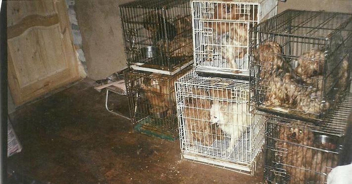 Место, где родился Ангел.