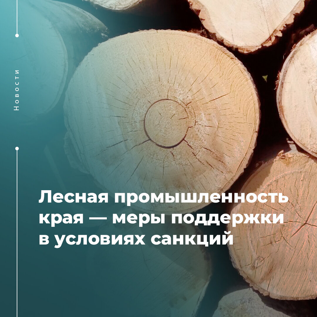 Лесная промышленность края — меры поддержки в условиях санкций | «ИСКРА  РЯДОМ» КонсультантПлюс Красноярск | Дзен