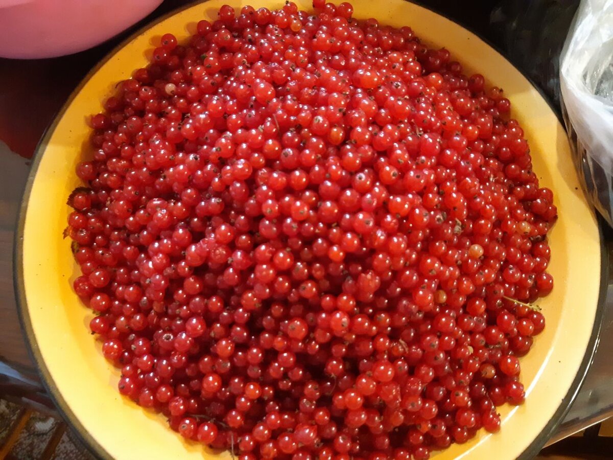 рецепт "женского напитка" на 3-х литровую стеклянную  банку:  2 литра ягод, измельченных блендером +600 гр сахара+ 3 бутылки водки по 0,5 л. Накрыть крышкой. Убрать в темное место, дать настояться от 1 месяца до 2-х (когда раствориться сахар) Процедить и опять вылить в те же бутылки из под водки. За счет кислоты смородины градусы уменьшаются плюс сладковатый вкус!👍