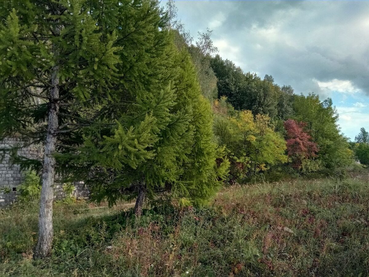 Осень в самом начале