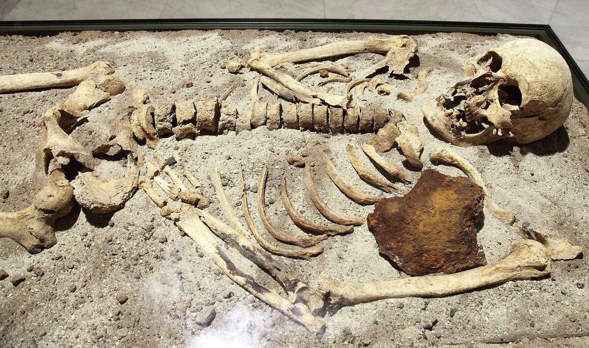 Скелет возрастом 800 лет, найденный в Болгарии