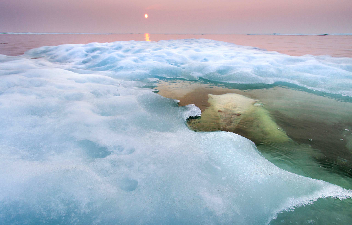 Белое море под водой