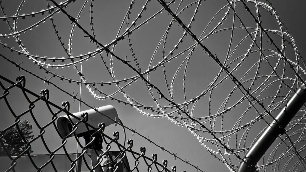фото: pexels