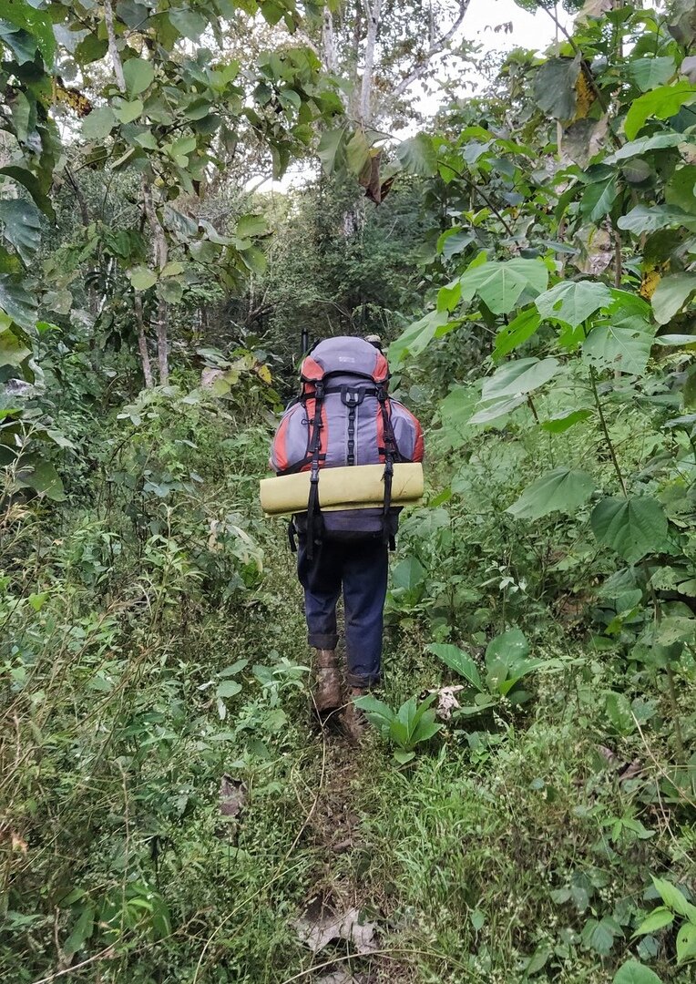 Андрюха, мой попутчик