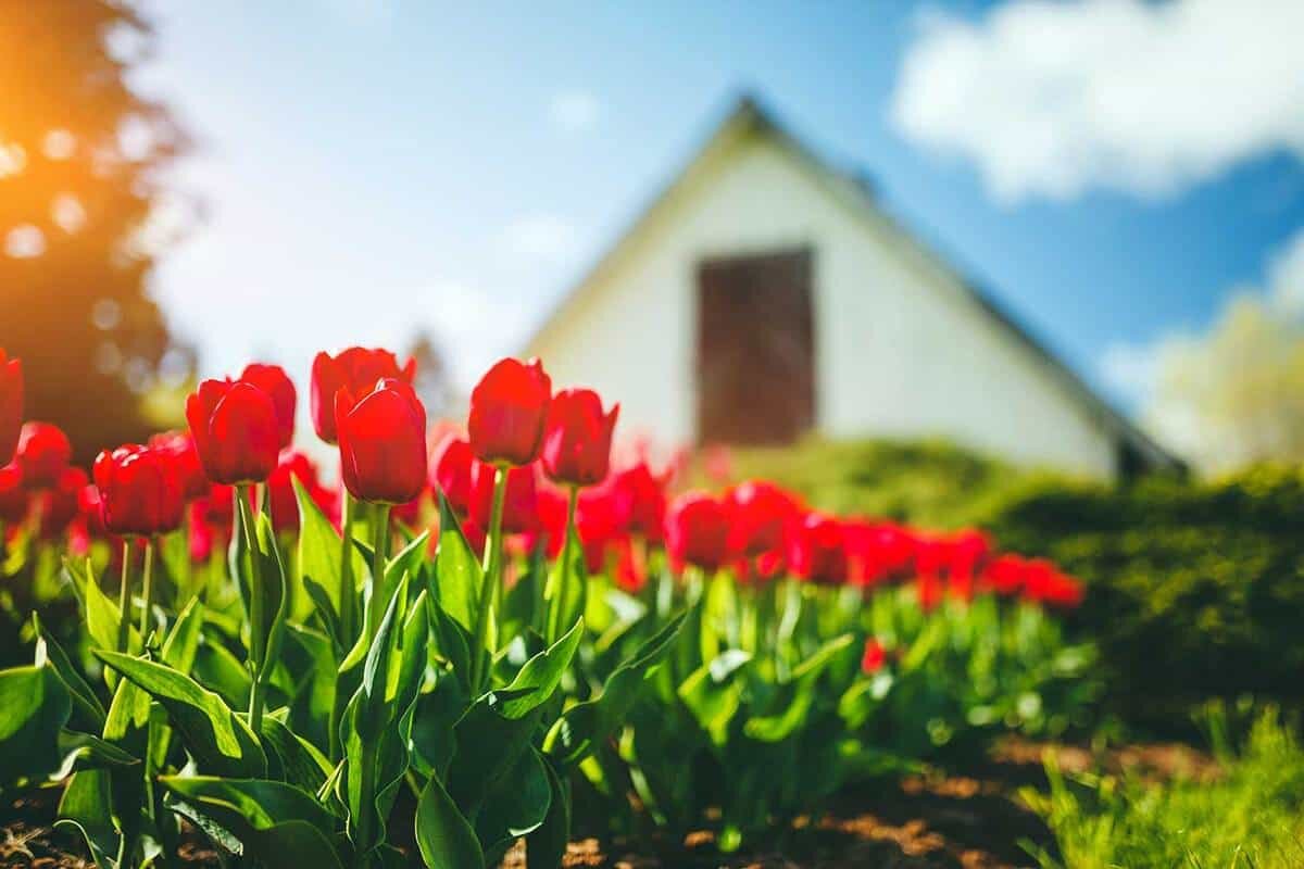 Фото компании Garden Tabs