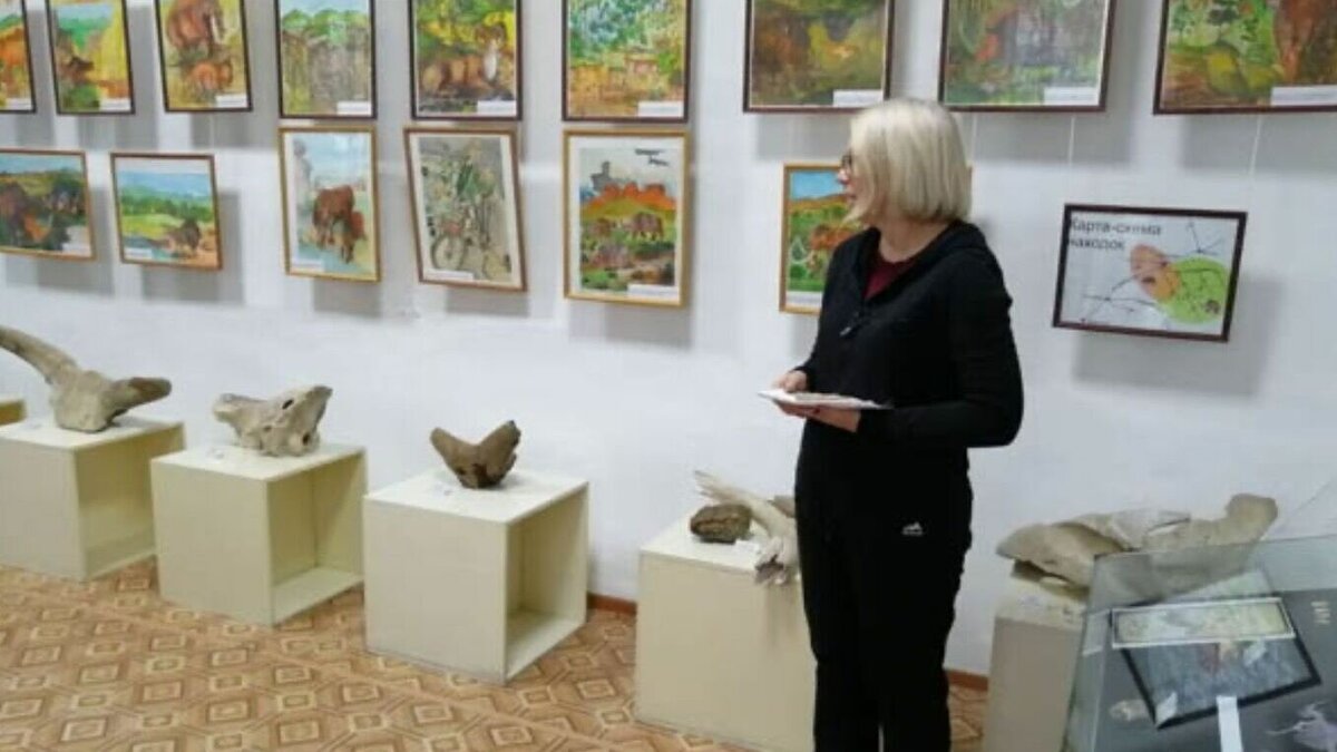     Выставка палеонтологических пейзажей открылась в историко-краеведческом музее музее города Бабушкина.