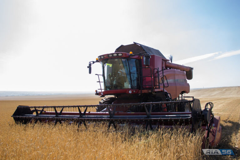    Аграрии Оренбуржья собрали 4 миллиона тонн зерна Белов Михаил Александрович