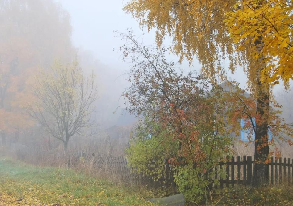 Звонок от почти бывшего мужа Арина не ждала. Она вообще никаких звонков не ждала, а мирно спала, пользуясь тем, что у неё отпуск и «сложная жизненная ситуация». -Арина! Нам надо поговорить!