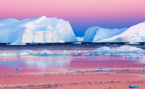    Фото: polar-aurora.com Дарья Рубайло