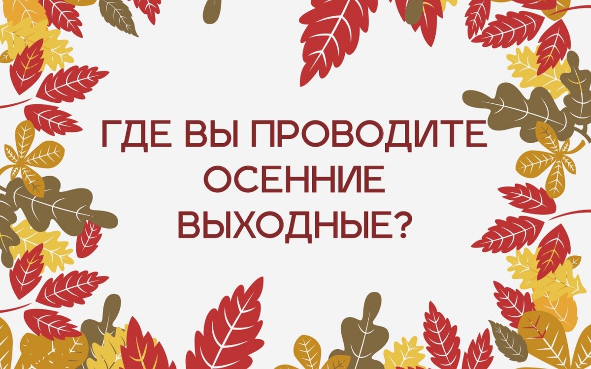 https://etu.ru/ru/gazeta-elektrik/spec-proekty/vopros-nomera/gde-vy-provodite-osennie-vyhodnye