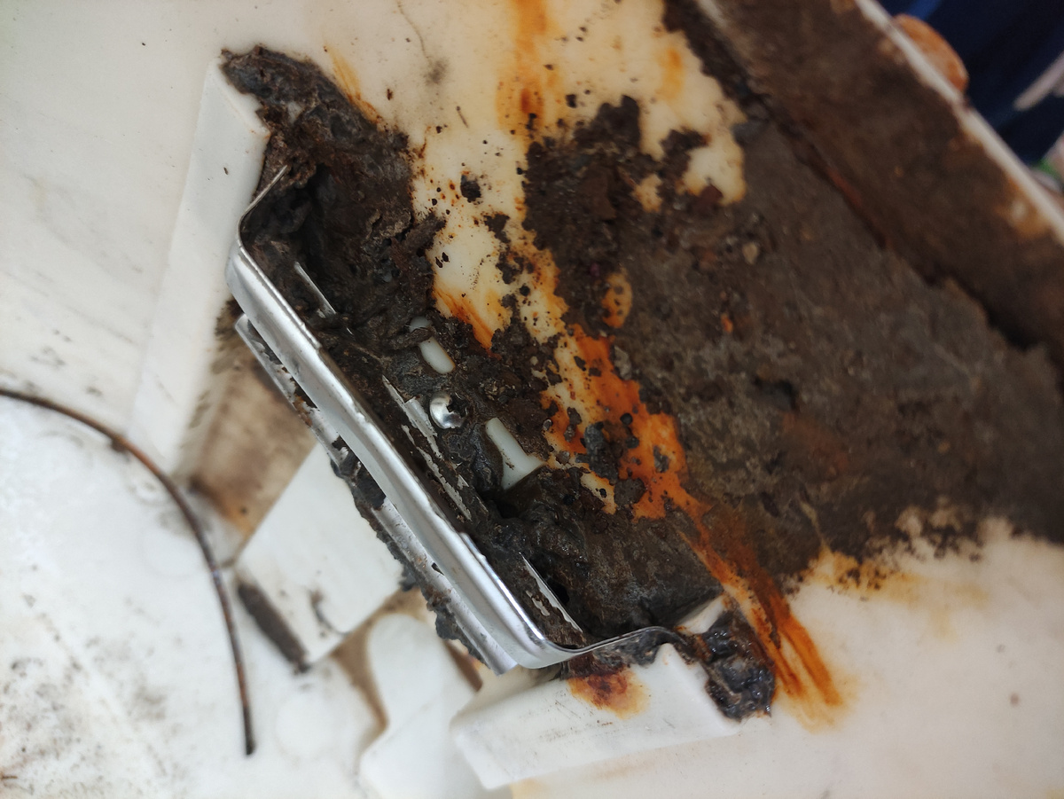 Какие - то окамененелости