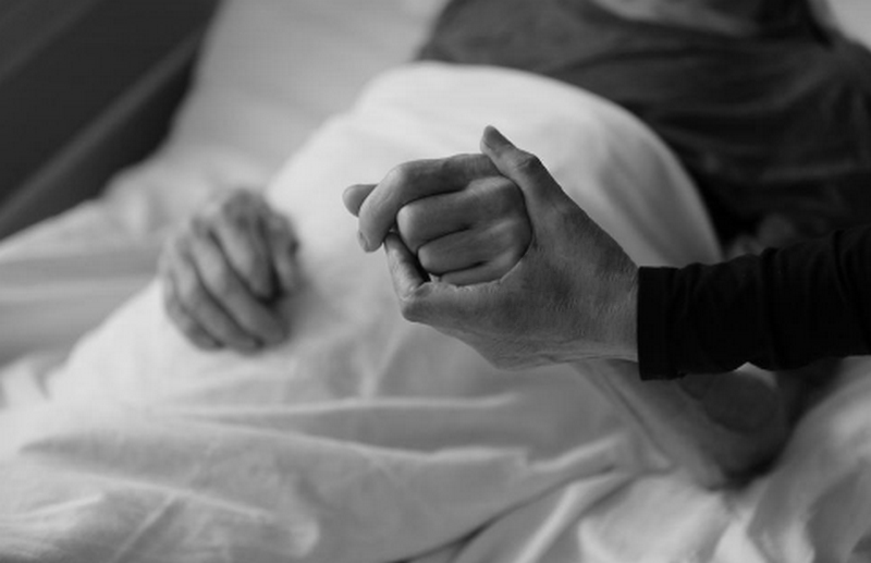 Фото из открытых источников.