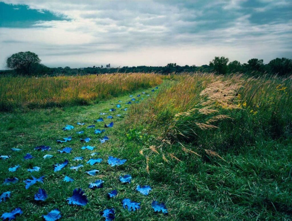     Фото: Sandy Skoglund