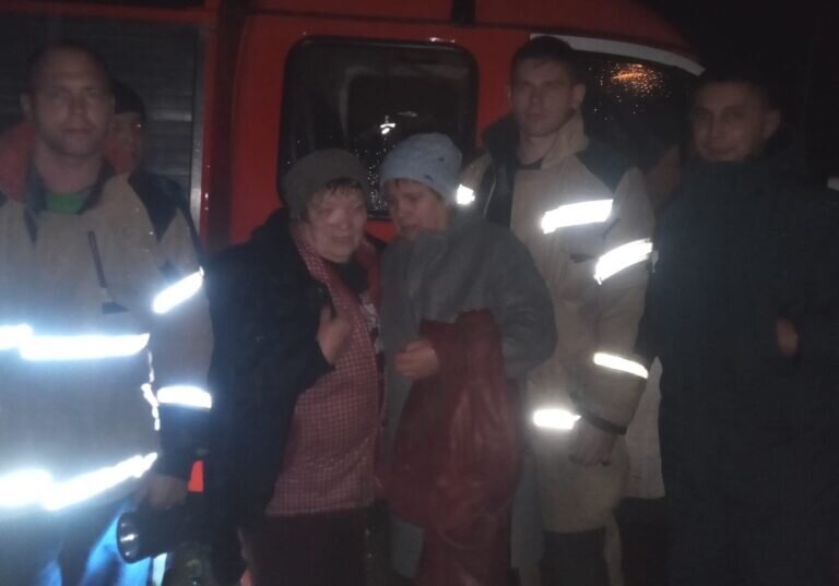    В Переволоцком районе спасатели и добровольцы нашли заблудившуюся в лесу 69-летнюю женщину Андрей Севостьянов