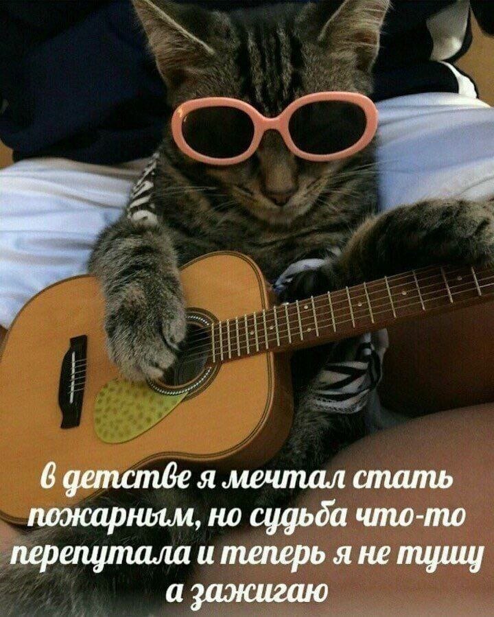 Мемес для души