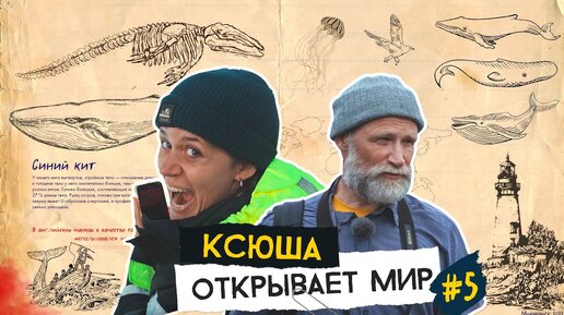 Как помочь китам, чем опасно промышленное рыболовство и кто охотится на дельфинов?