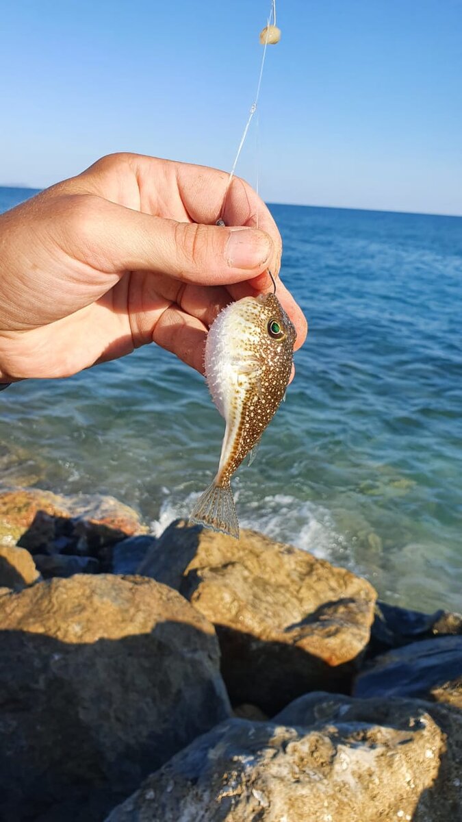 Фото автора канала