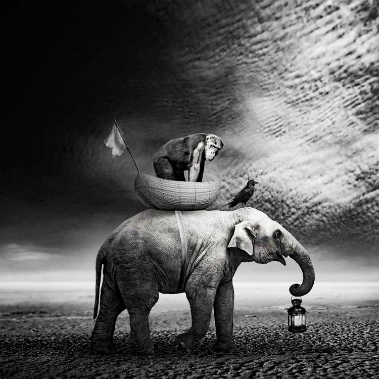 Из интернета.     