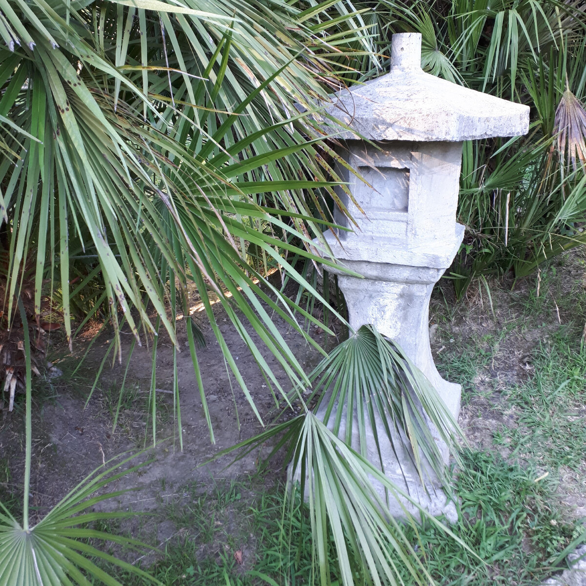 В японском садике