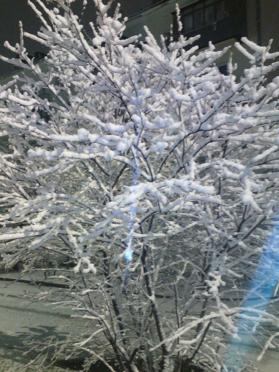 Фото автора.