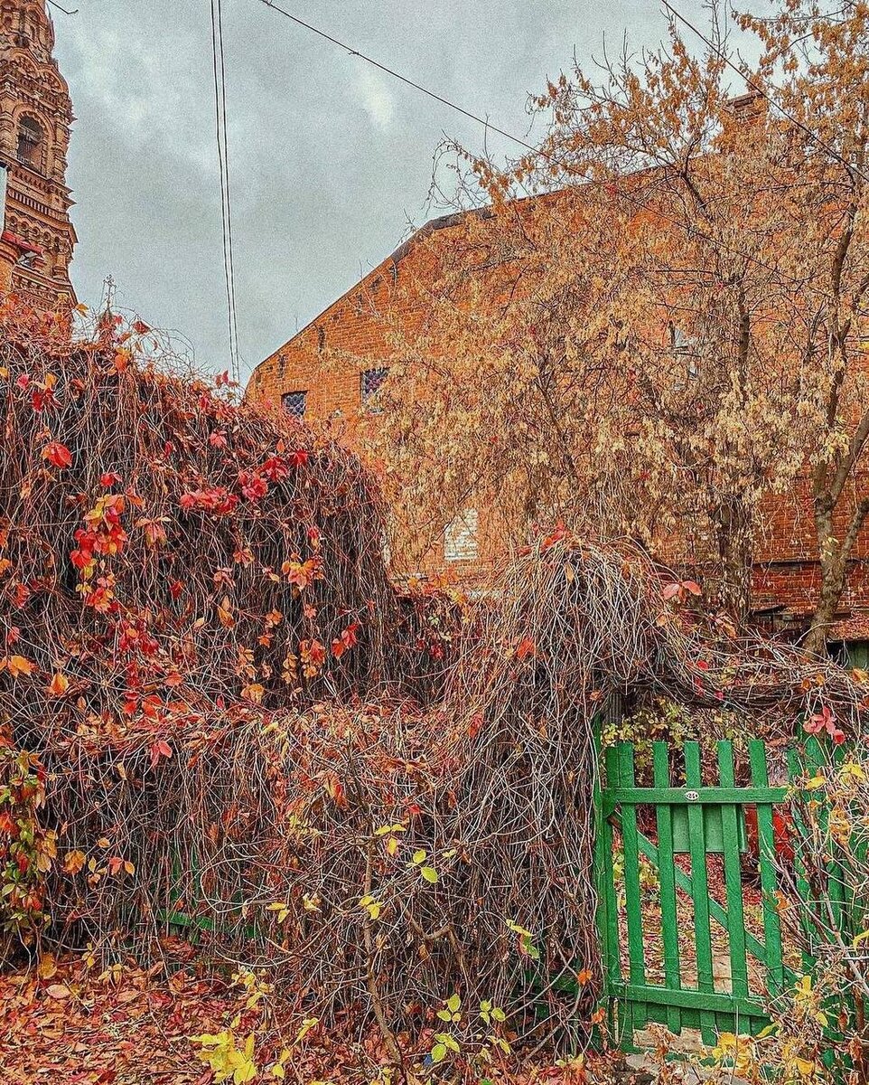 Вид на собор