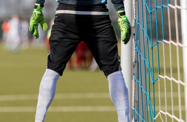    Вратарь Publicdomainpictures.net